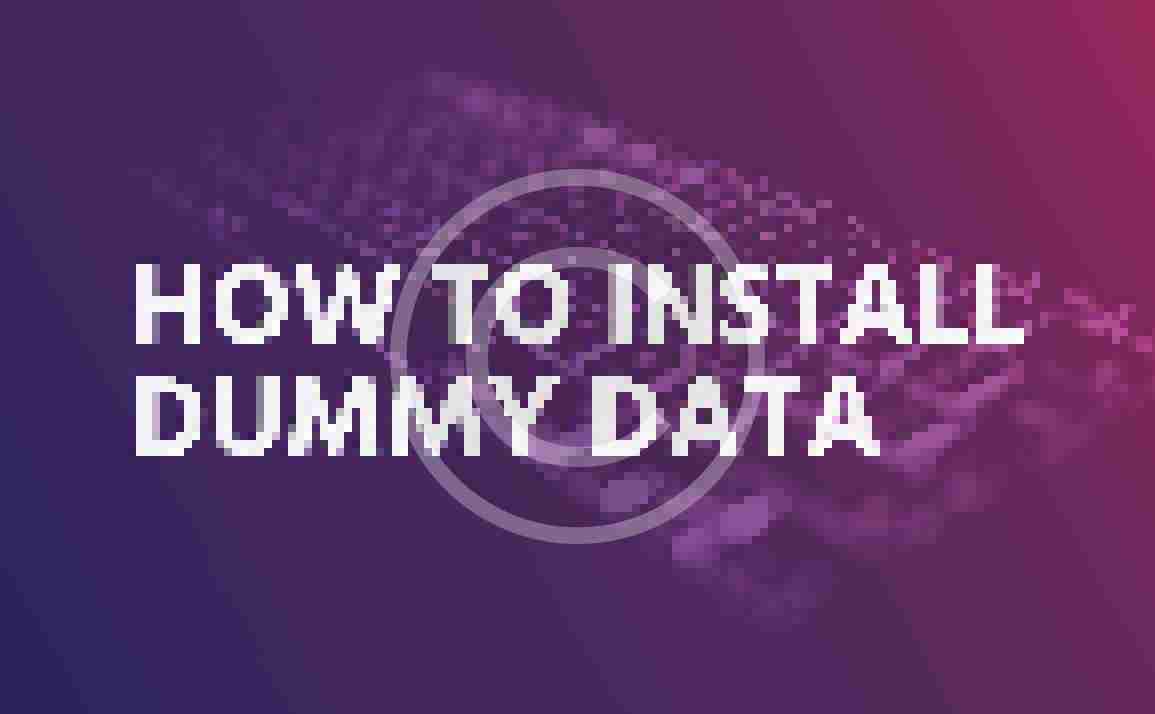 How to install dummy data